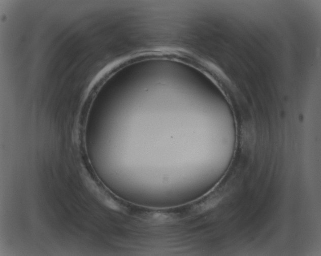 X0000086271412200704051257