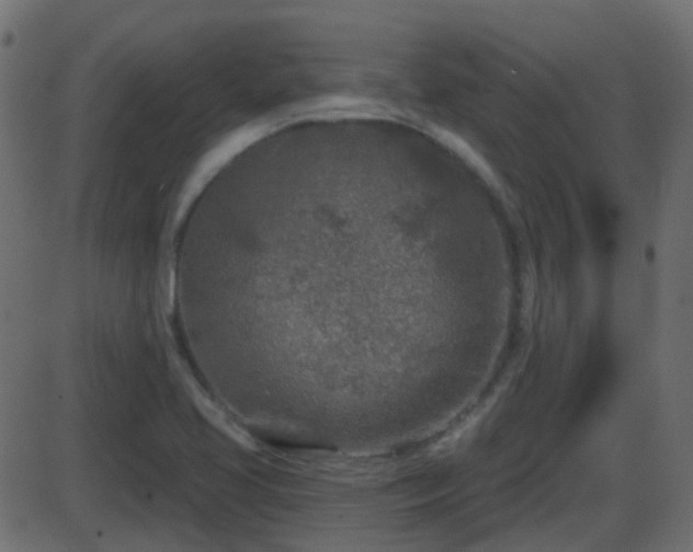 X0000086271413200704051257