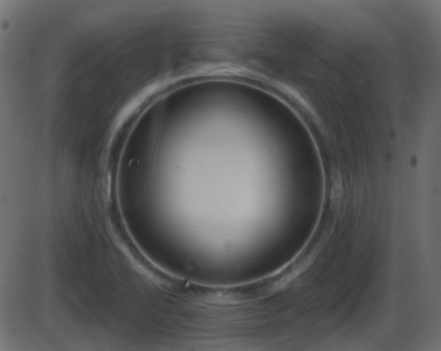 X0000086271414200704051257