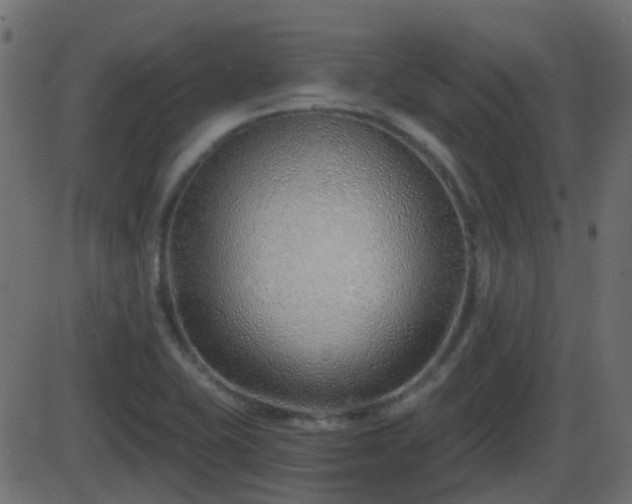 X0000086271415200704051257