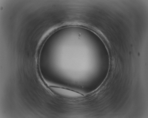 X0000086271416200704051257