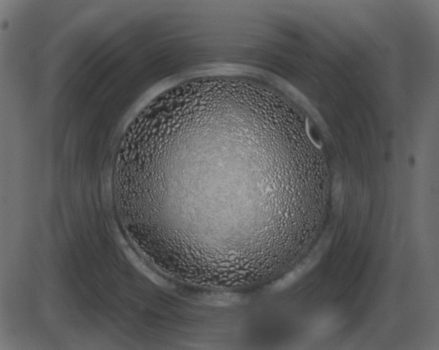 X0000086271417200704051258