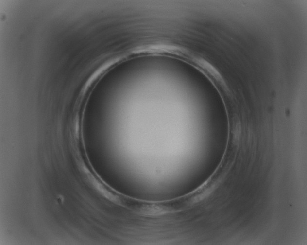 X0000086271420200704051258