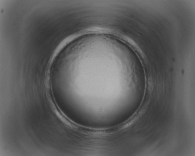 X0000086271421200704051258