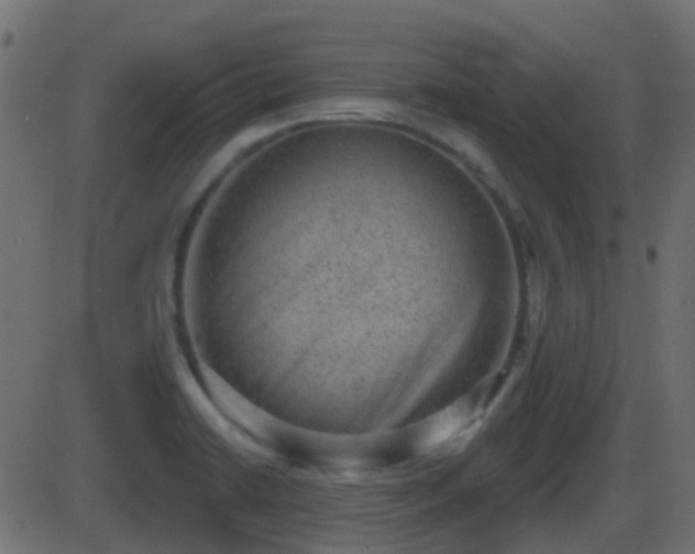 X0000086271422200704051258