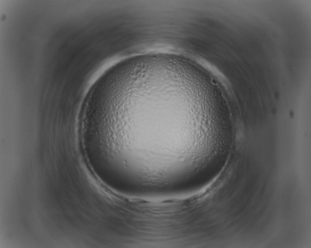 X0000086271423200704051258