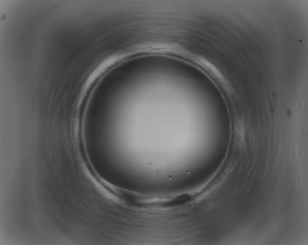 X0000086271424200704051258