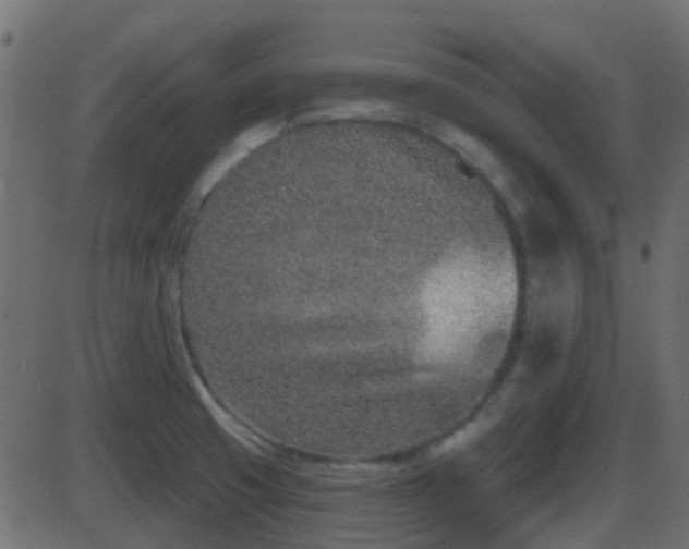 X0000086271425200704051258