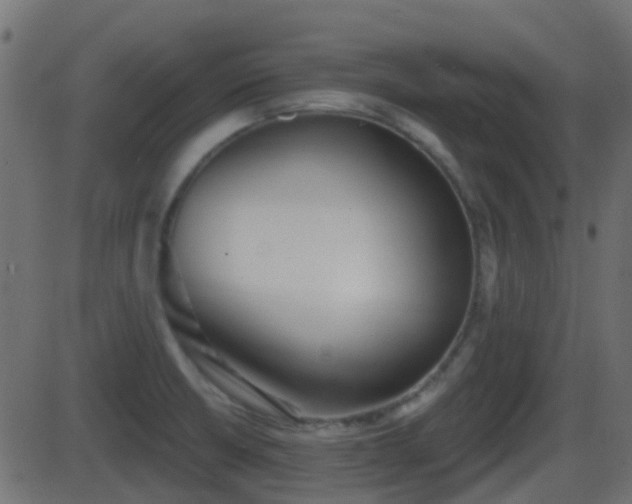 X0000086271426200704051258