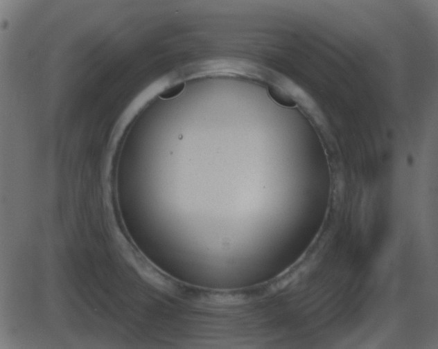 X0000086271427200704051258