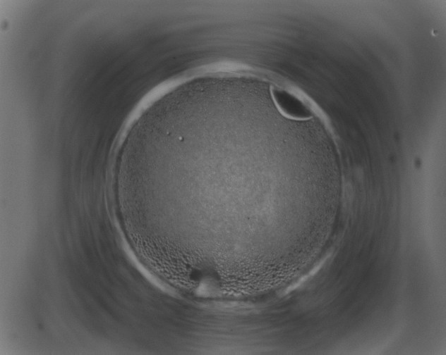 X0000086271429200704051258