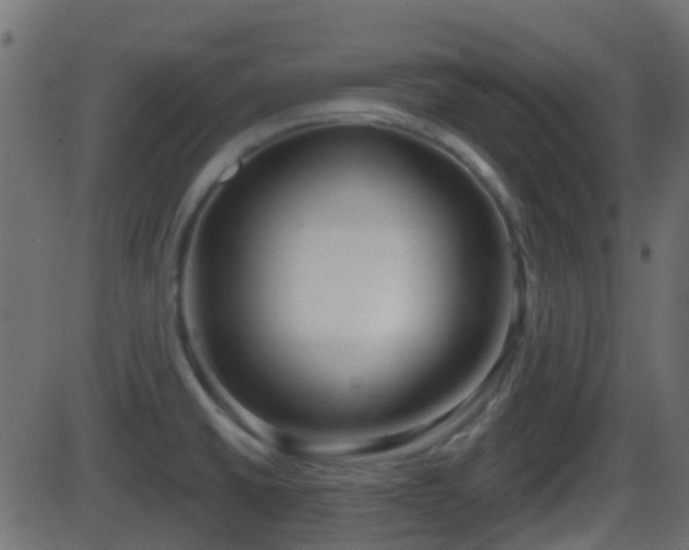 X0000086271430200704051258