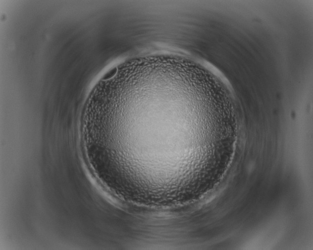 X0000086271431200704051258