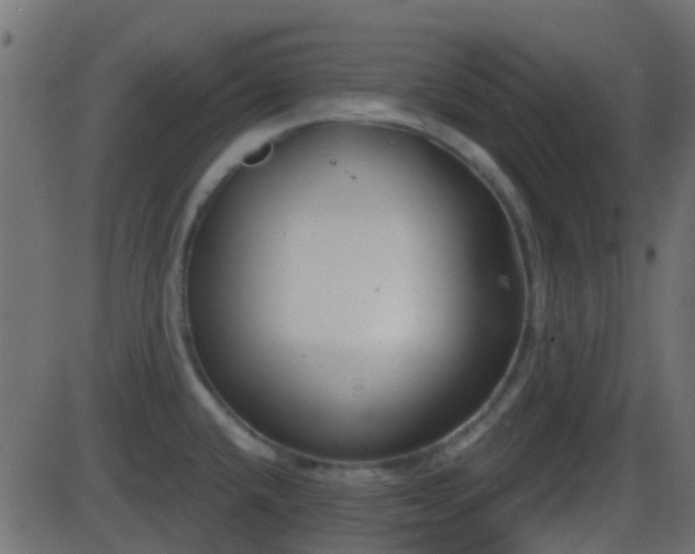 X0000086271432200704051258