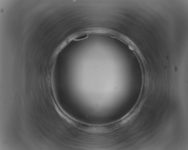 X0000086271433200704051258