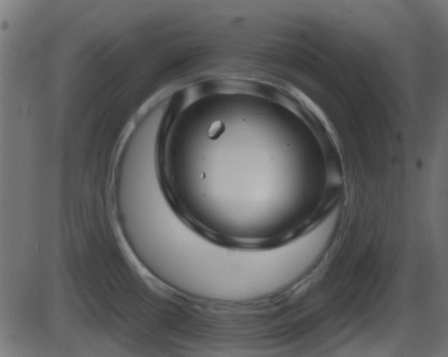 X0000086271434200704051258