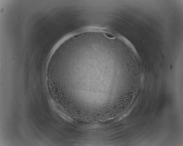 X0000086271435200704051258