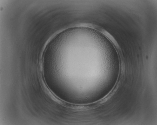 X0000086271436200704051258