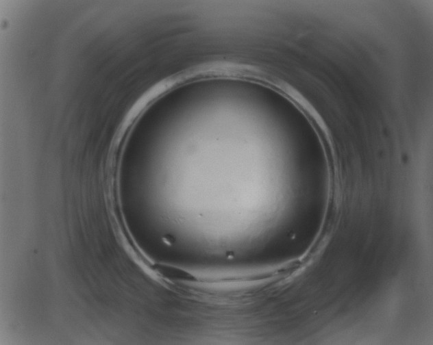 X0000086271437200704051258