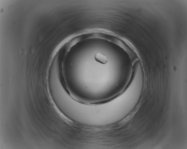 X0000086271438200704051258