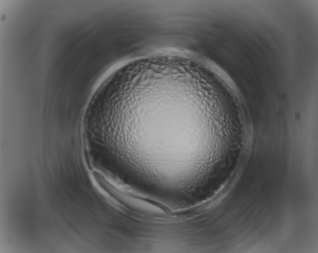 X0000086271439200704051258