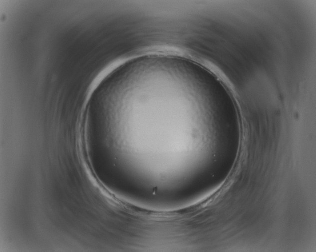 X0000086271440200704051258