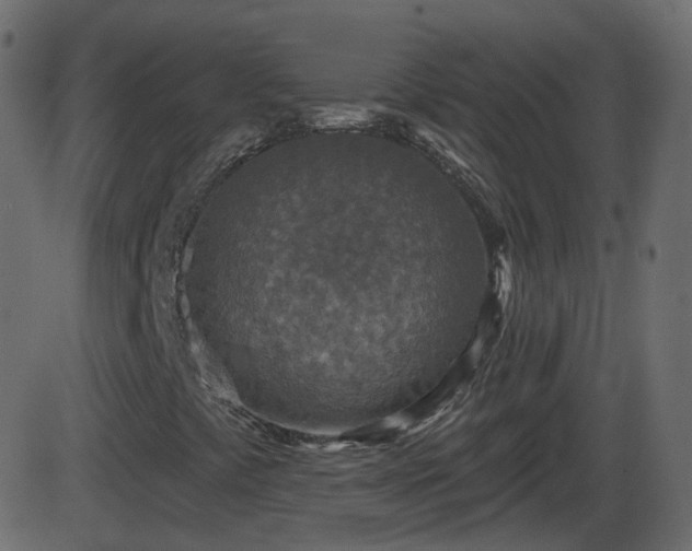 X0000086271441200704051257