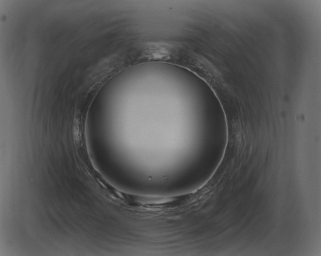 X0000086271442200704051257