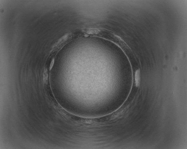 X0000086271443200704051257