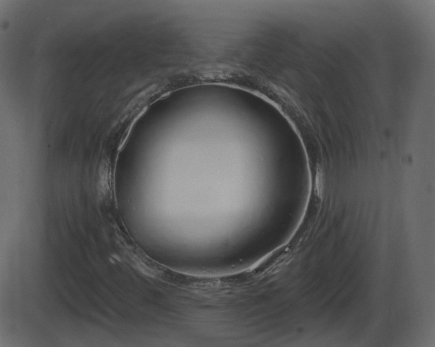 X0000086271444200704051257