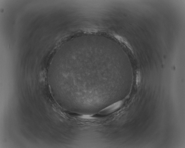 X0000086271445200704051257