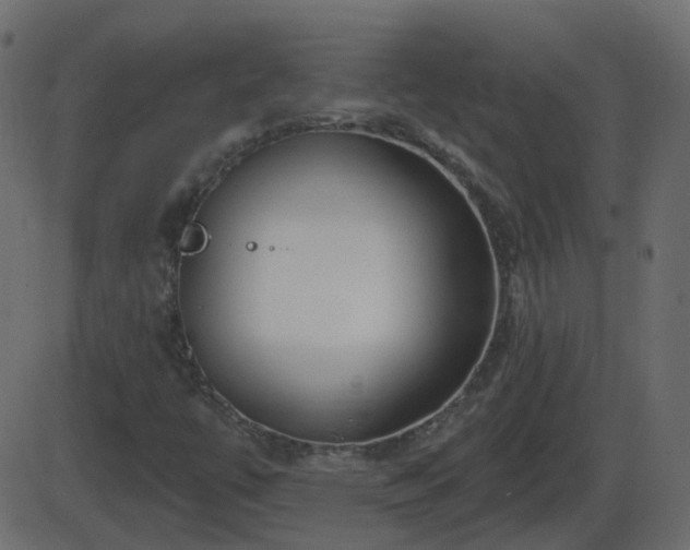 X0000086271447200704051257