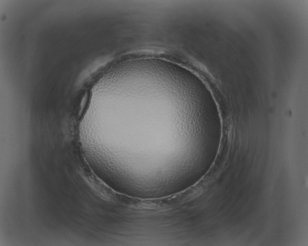 X0000086271448200704051257