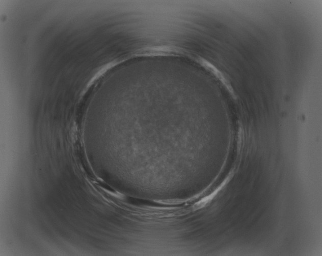 X0000086271449200704051257