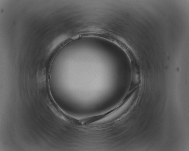 X0000086271450200704051257