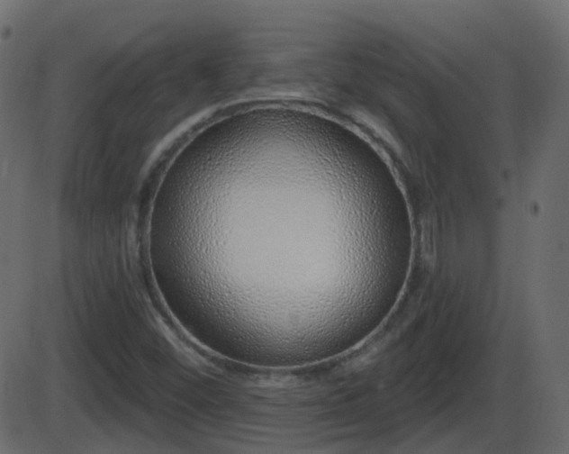 X0000086271452200704051257