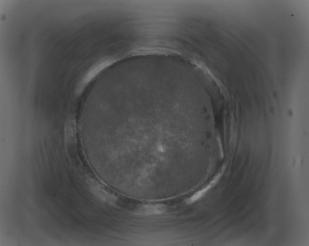 X0000086271453200704051257