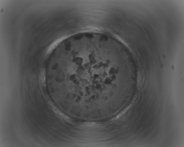 X0000086271455200704051257