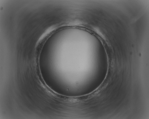 X0000086271456200704051257