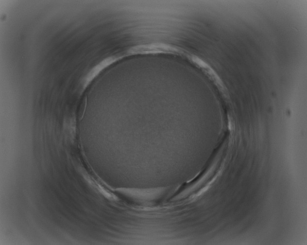 X0000086271457200704051257