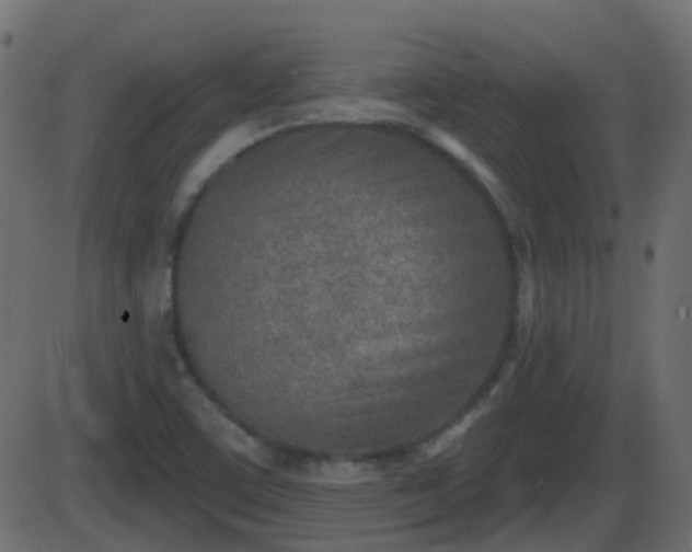 X0000086271459200704051257