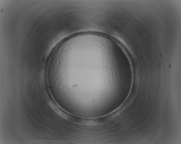 X0000086271460200704051257