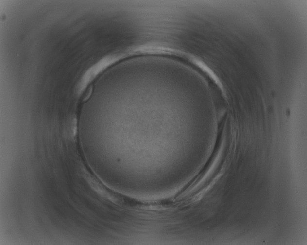 X0000086271461200704051257