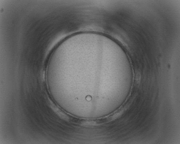 X0000086271462200704051257