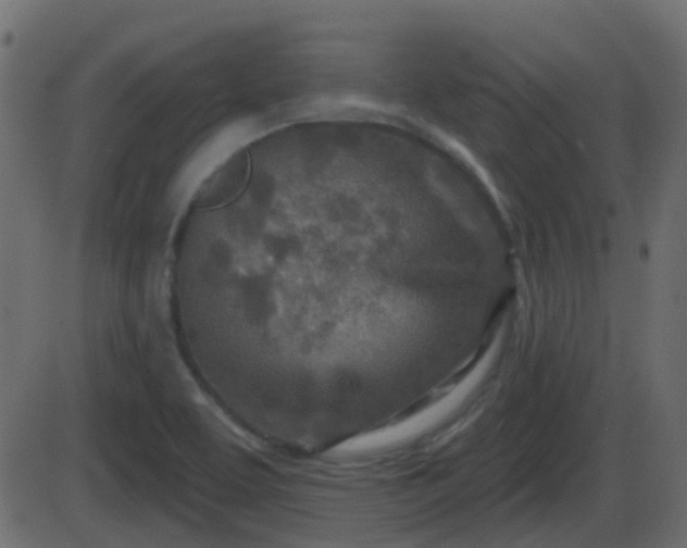 X0000086271463200704051257