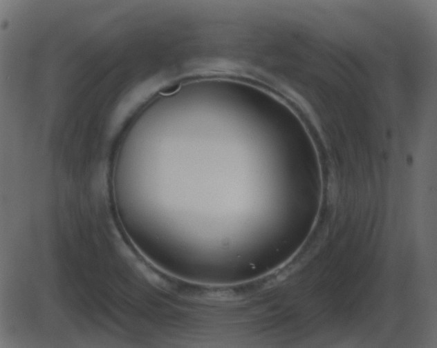 X0000086271464200704051257