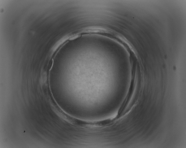 X0000086271465200704051257