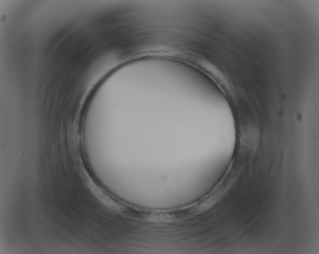 X0000086271466200704051257