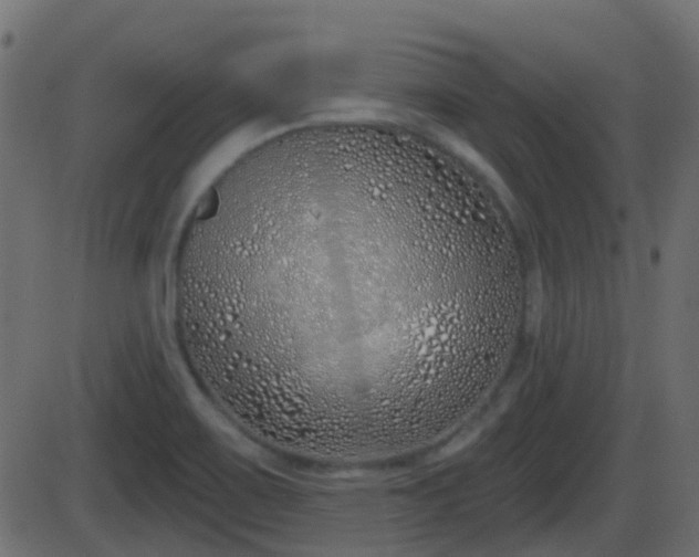 X0000086271467200704051257