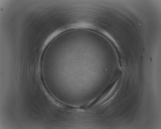 X0000086271469200704051257